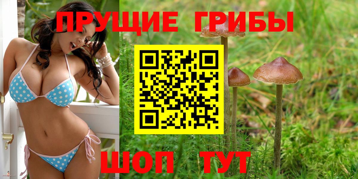 Галлюциногенные грибы мицелий Корсаков