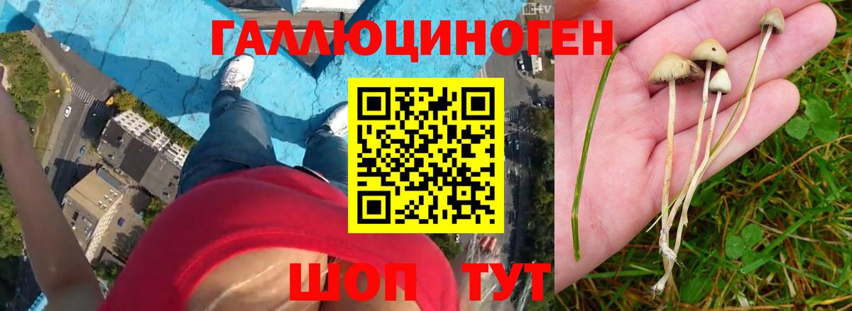 Корсаков  Галлюциногенные грибы Magic Shrooms  Вход с VPN 